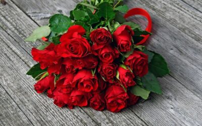 The Timeless Meaning and Beauty of Red Roses